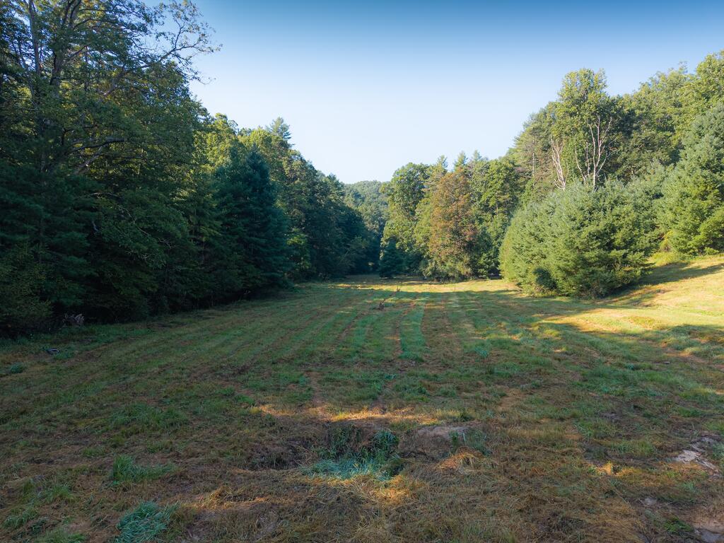 0 Nubbins Ridge Road Camp Creek, WV 25820 - Photo 15 of 24 Gallery Image 15