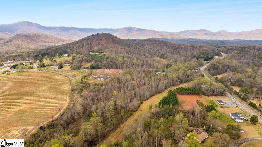 0 North Blackstock Road Landrum, SC 29356 - Photo 2 of 9