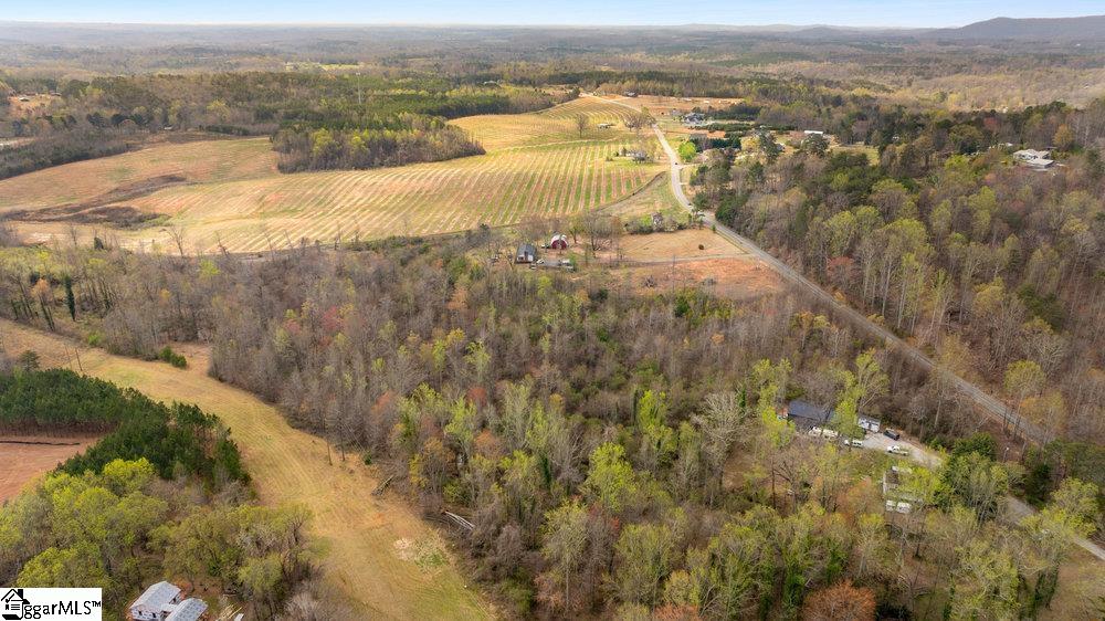 0 North Blackstock Road Landrum, SC 29356 - Photo 3 of 9