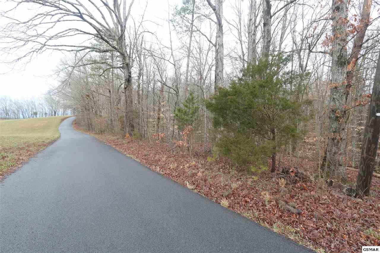 7 Sims Road Sevierville, TN 37876 - Photo 13 of 15