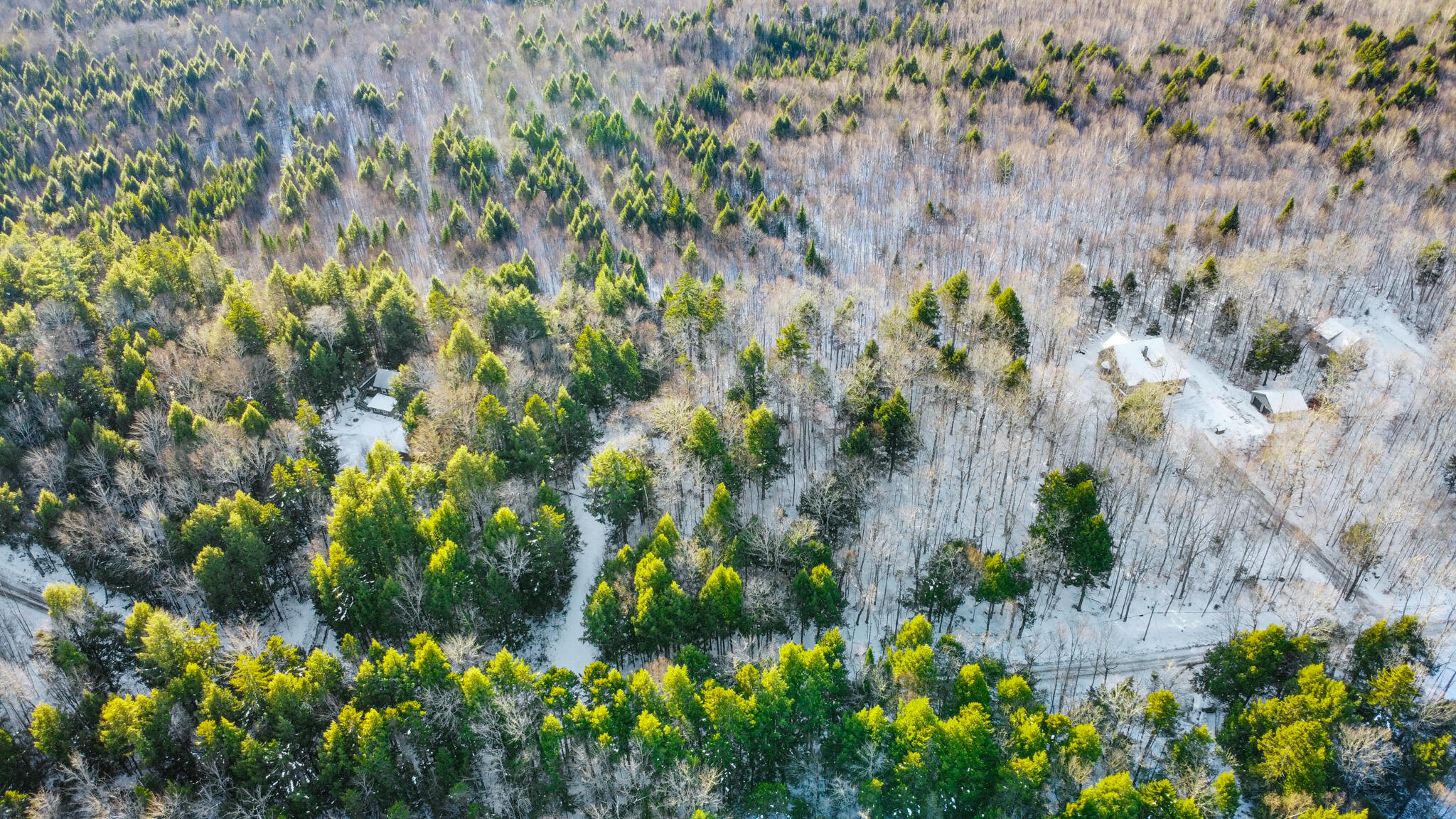 0 Sandy Beach Road Danforth, ME 04424 - Photo 7 of 13 DANFORTH-7