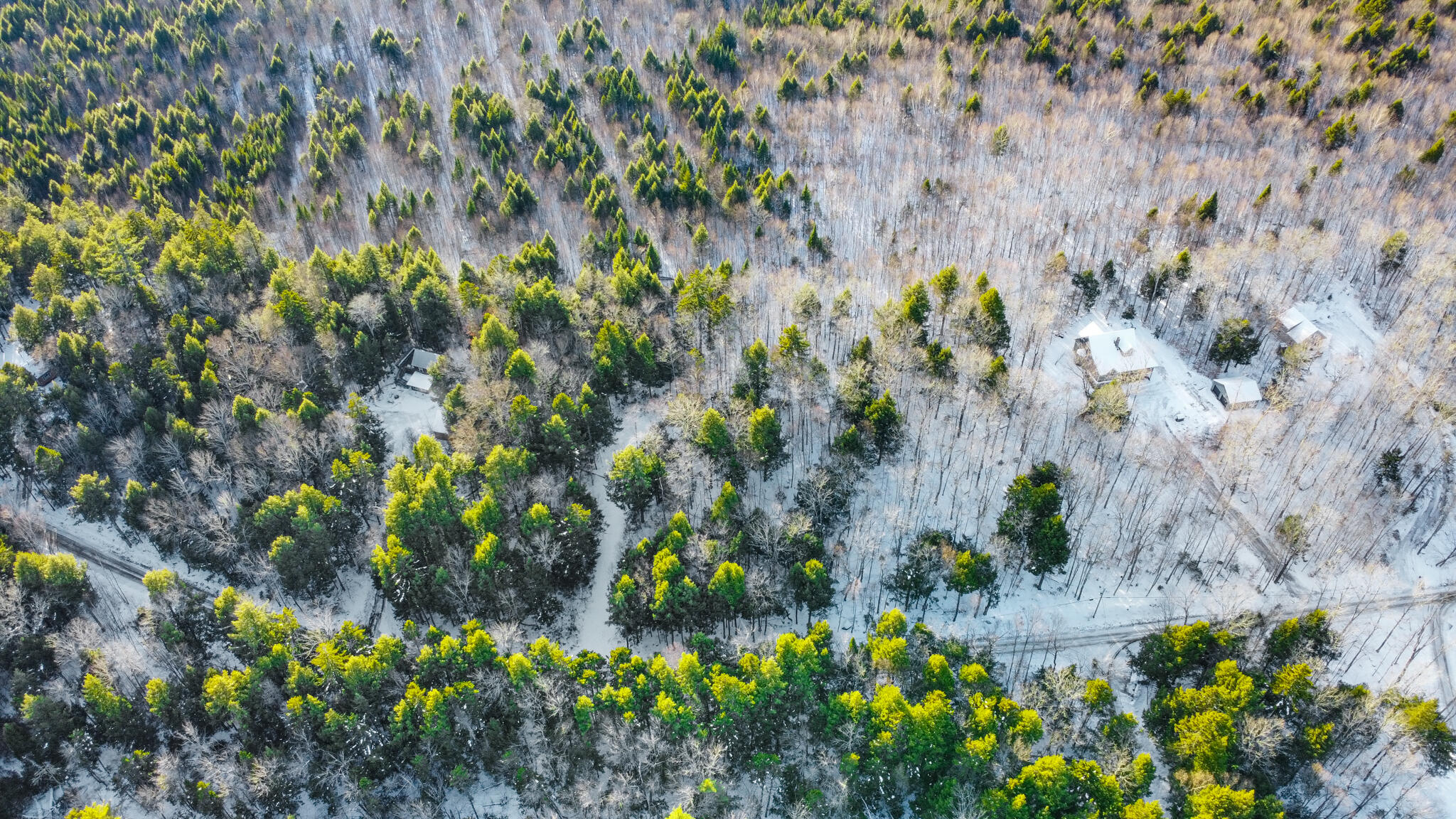 0 Sandy Beach Road Danforth, ME 04424 - Photo 8 of 13 DANFORTH-8