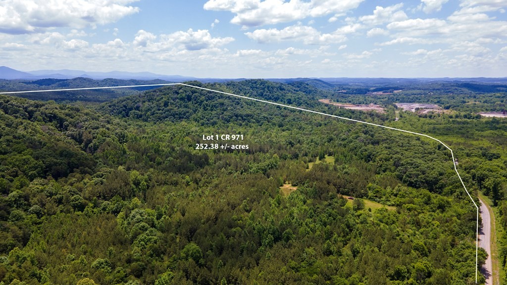 1 State Highway Calhoun, TN 37309 - Photo 3 of 20