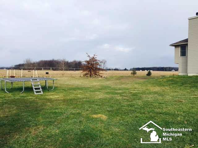 20950 Ida Center Road Deerfield, MI 49238 - Photo 19 of 25 20456559-18.JPG
