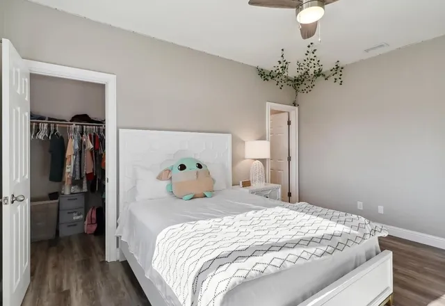 a view of a backyard with a garden and plants