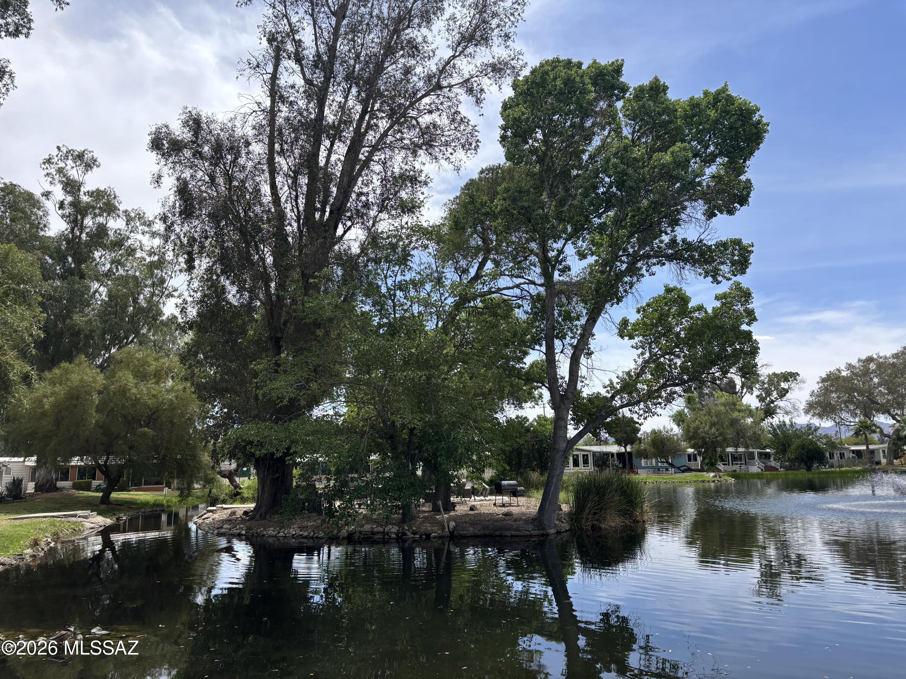 4550 North Flowing Wells Road, Unit 65 Tucson, AZ 85705 - Photo 41 of 50 a lake view with lots of trees in it