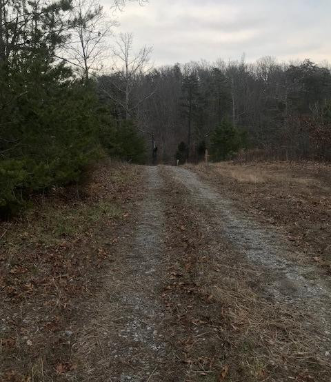 360 Midway Road Winchester, KY 40391 - Photo 1 of 8 Photo 1