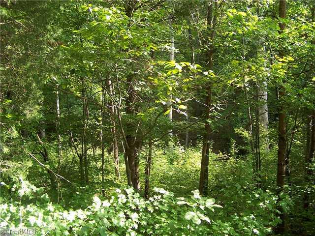 73 Lake Woussicket Road Germanton, NC 27019 - Photo 4 of 11 Land/Lot. Dense Woods