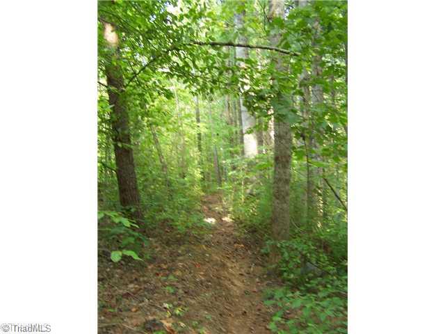 73 Lake Woussicket Road Germanton, NC 27019 - Photo 5 of 11 Land. Trail to lake