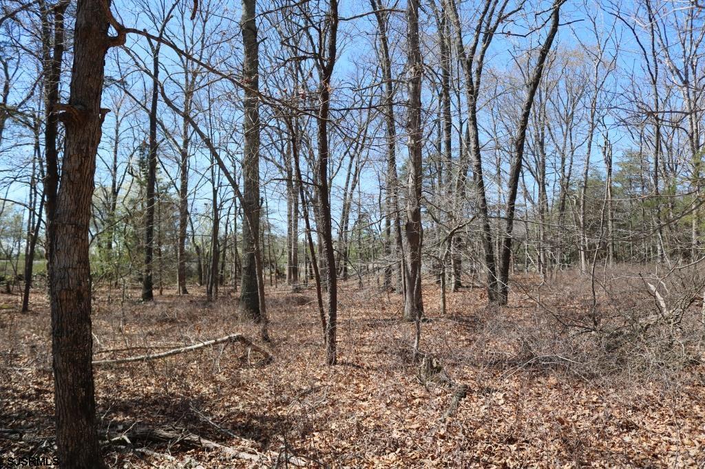 351 Shaws Mill Road Newport, NJ 08345 - Photo 13 of 84