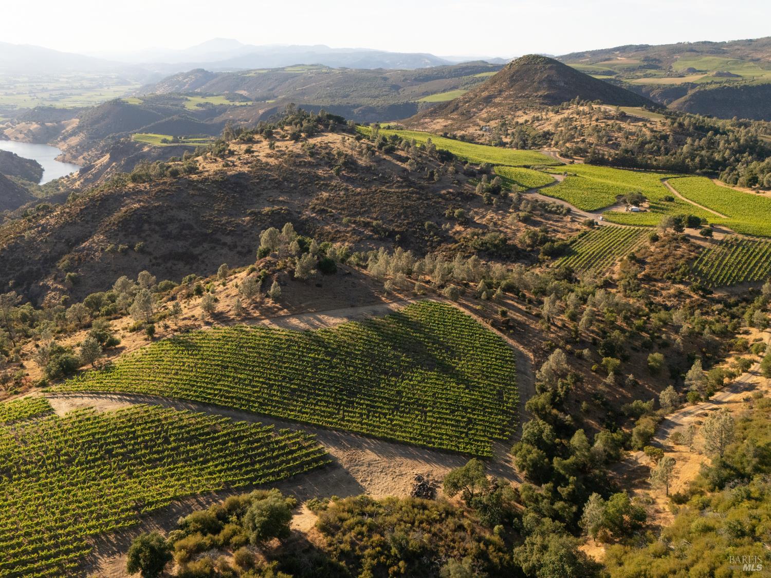 3231 Soda Canyon Road Napa, CA 94558 - Photo 3 of 8 Planted to Cabernet Sauvignon, Malbec, Merlot, Petit Sirah and Petit Verdot