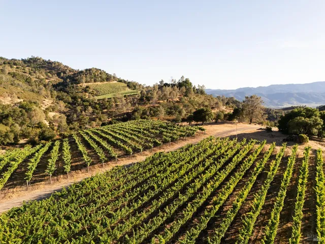 $6,500,000 | 3231 Soda Canyon Road, Napa, CA 94558