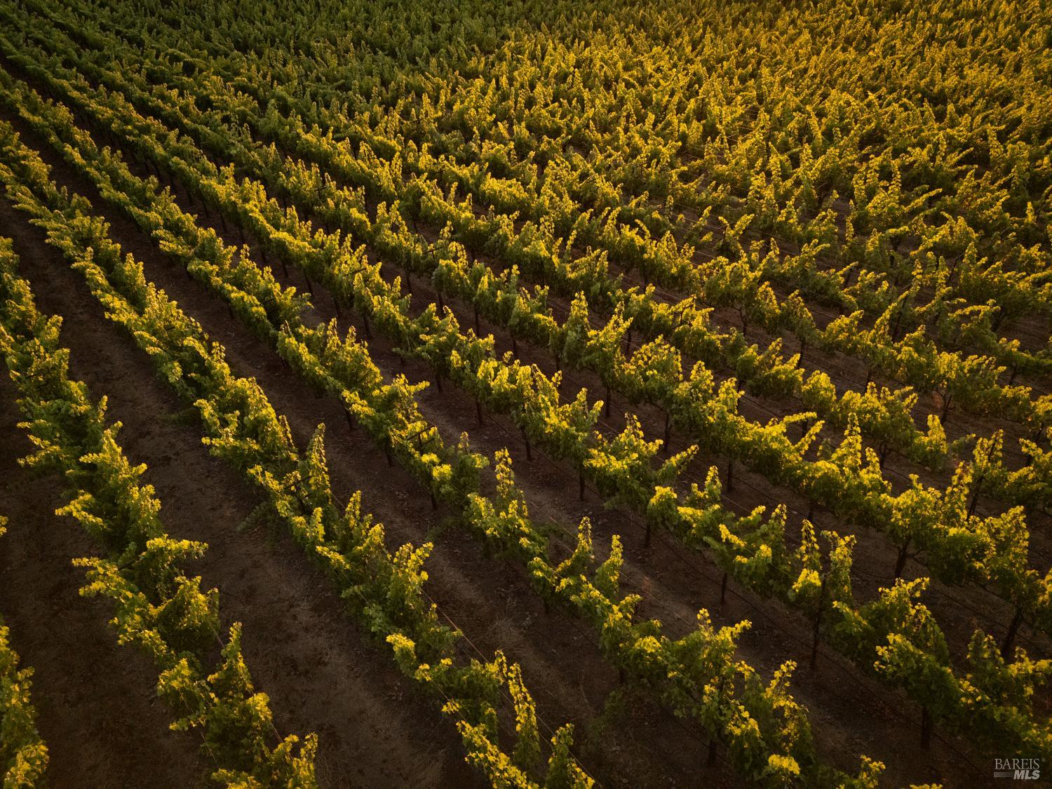 3231 Soda Canyon Road Napa, CA 94558 - Photo 8 of 8