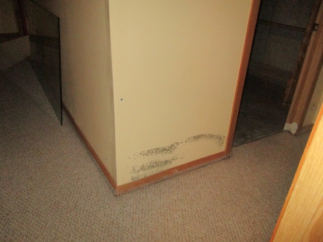 605 Rythym King Road Belvidere, IL 61008 - Photo 19 of 25 Gallery Image 19