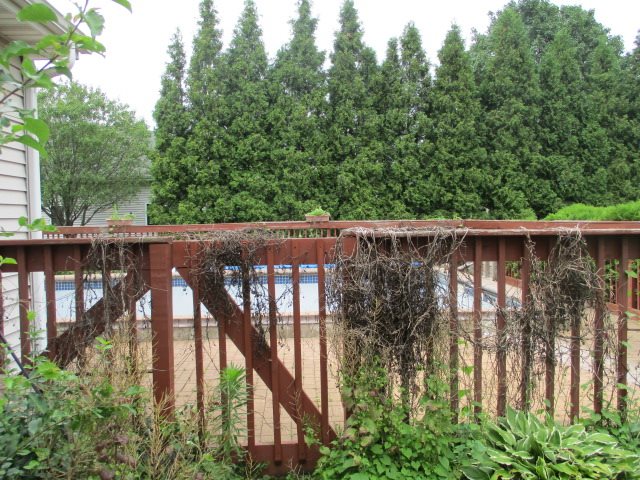 605 Rythym King Road Belvidere, IL 61008 - Photo 23 of 25 Gallery Image 23