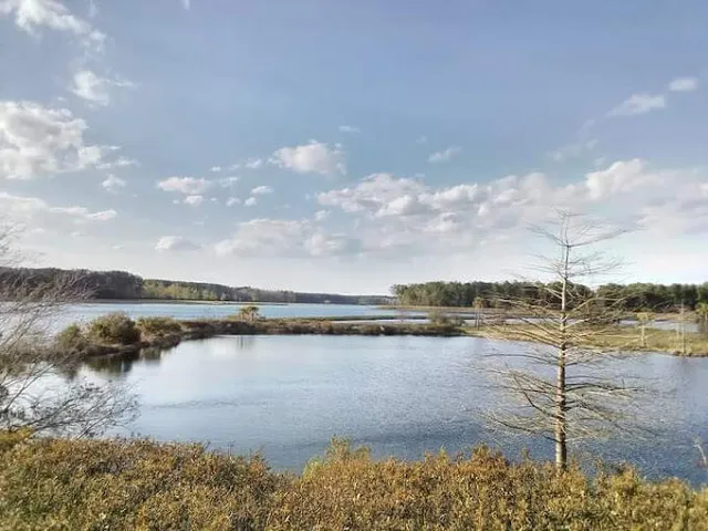 $598,990 | 724 Maynard Lane, Summerville, SC 29486