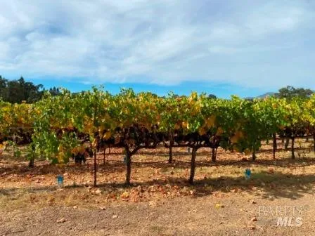 $5,250,000 | 1180 Monticello Road, Napa, CA 94558