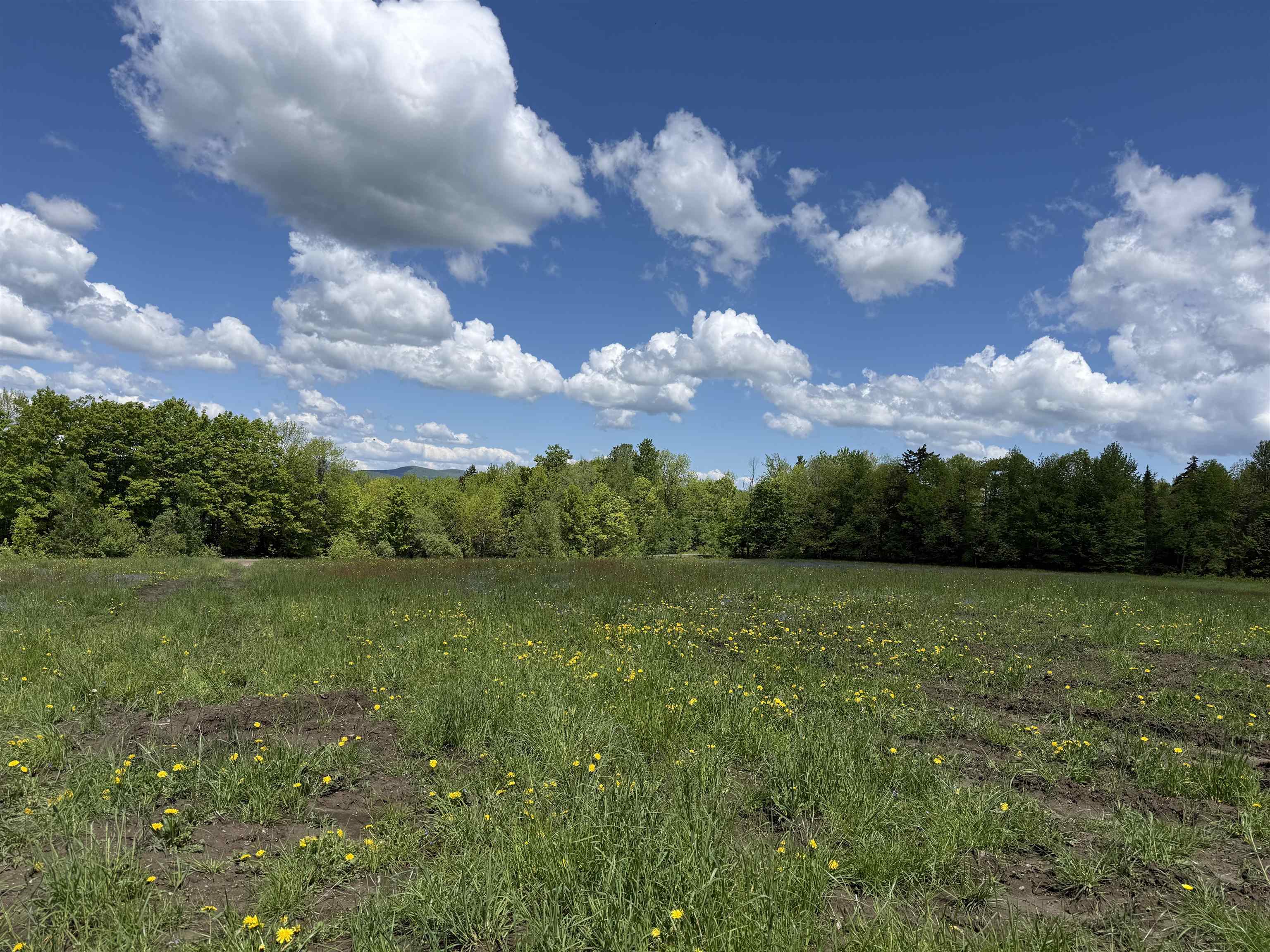 4804 Town Hill Road Wolcott, VT 05680 - Photo 4 of 5