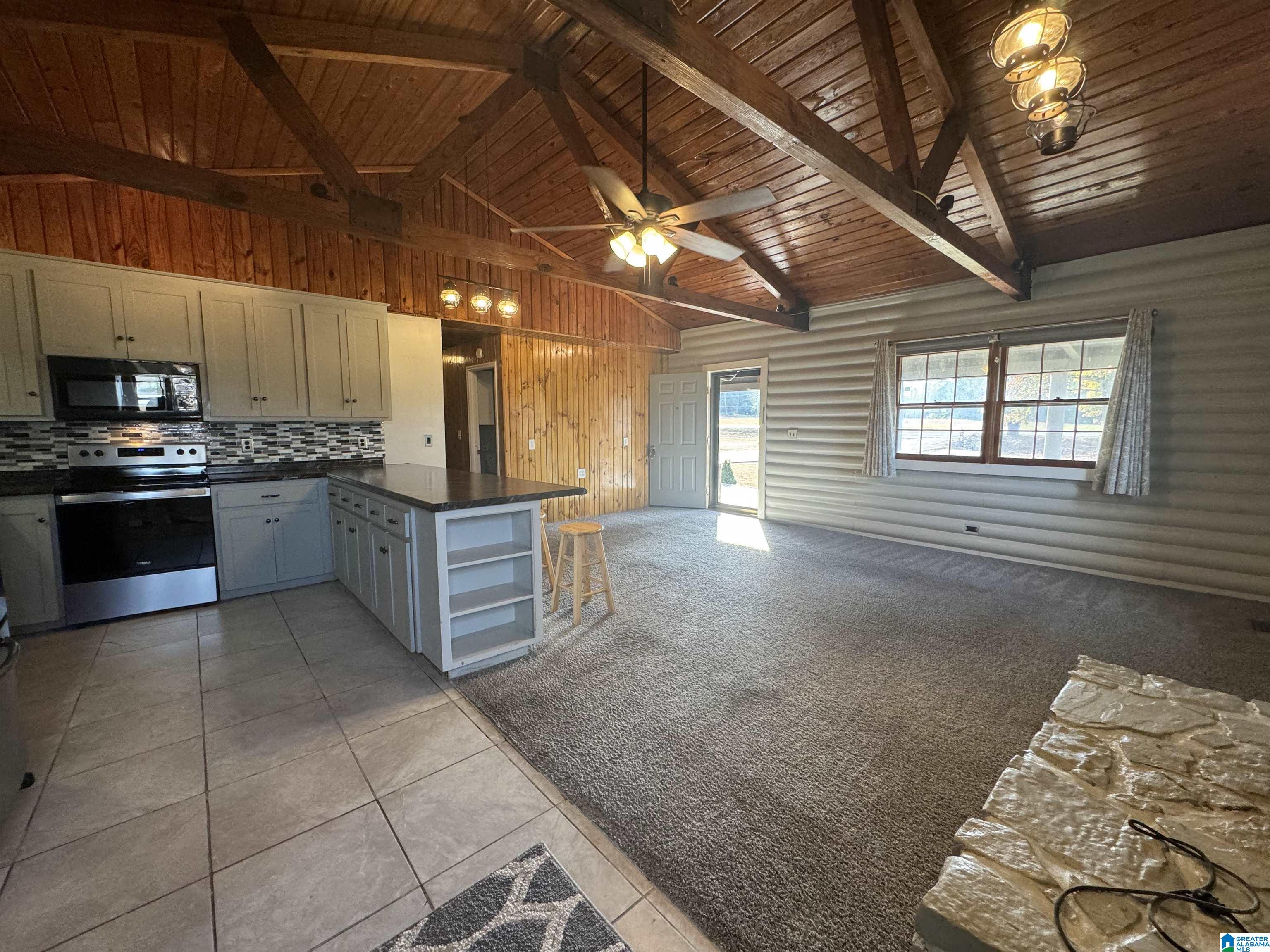 6070 Roy Webb Road Piedmont, AL 36272 - Photo 6 of 68