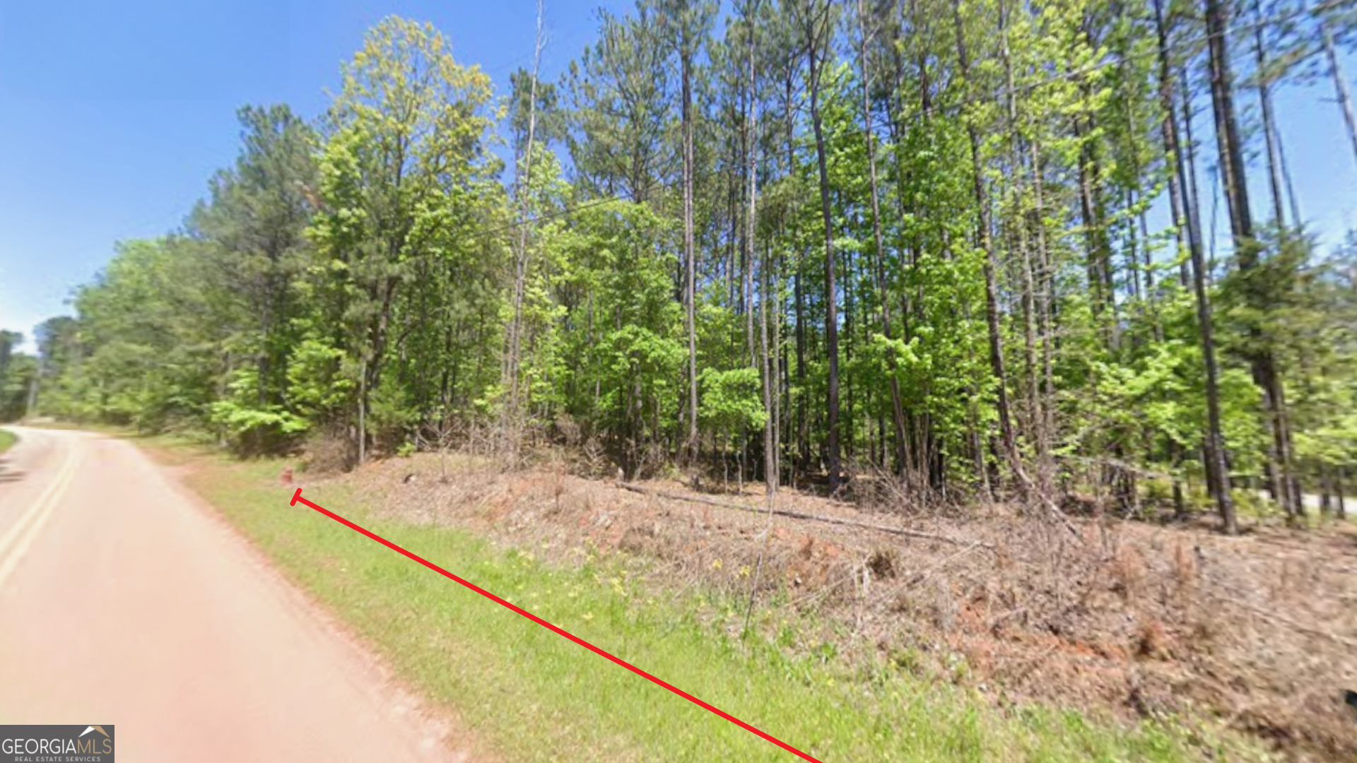 0 Goshen Road Thomaston, GA 30286 - Photo 7 of 18 a view of a yard with a tree