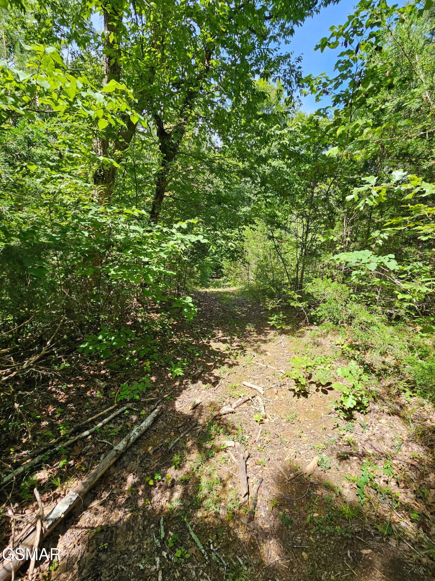 67910 Pleasure Road Sevierville, TN 37876 - Photo 7 of 20 Gallery Image 7