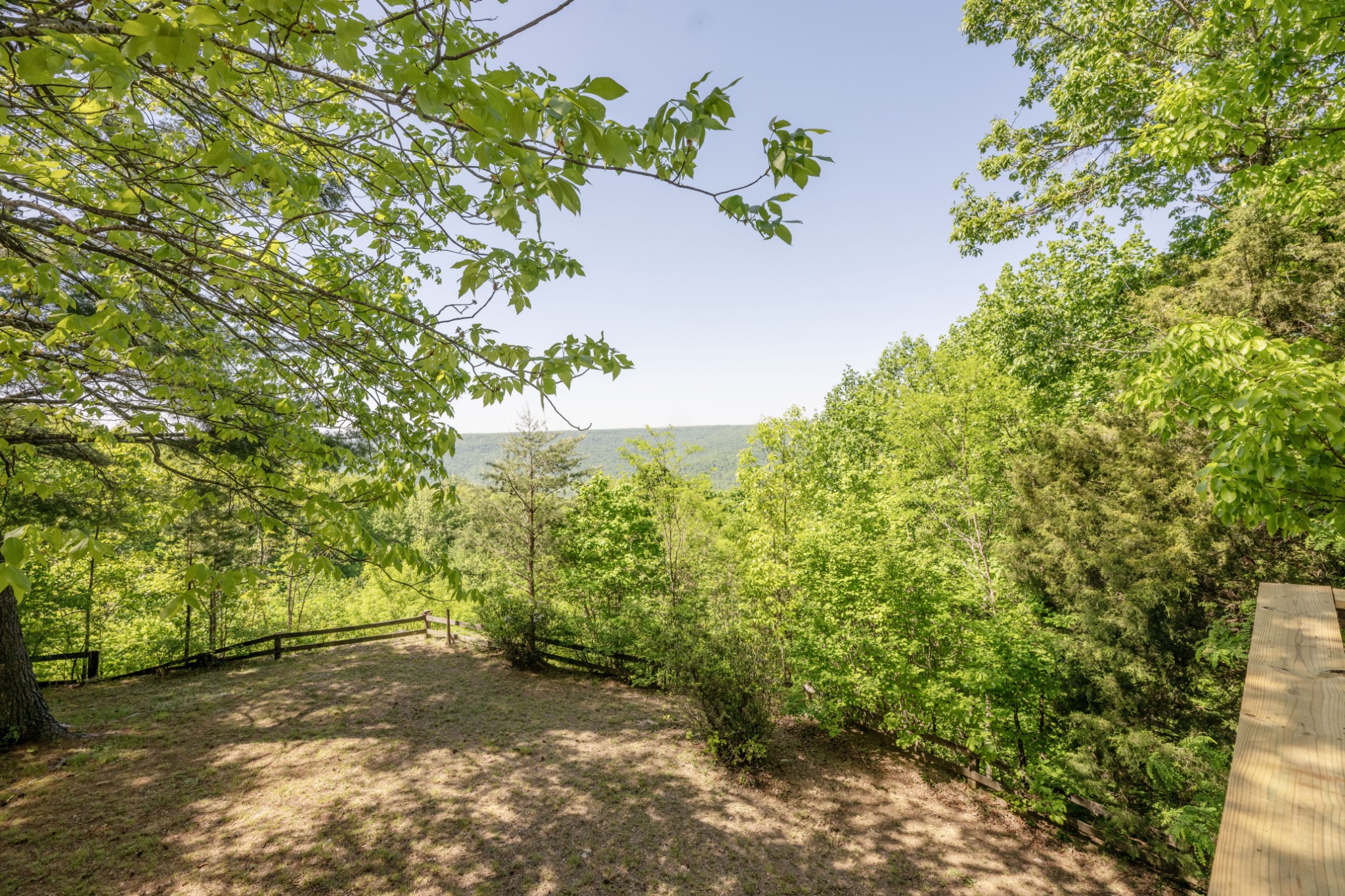 3442 Sherwood Road Sewanee, TN 37375 - Photo 9 of 28 a view of a yard with plants and trees