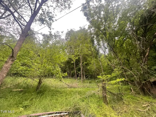 $119,000 | 763 Sloantown Road, Duffield, VA 24244