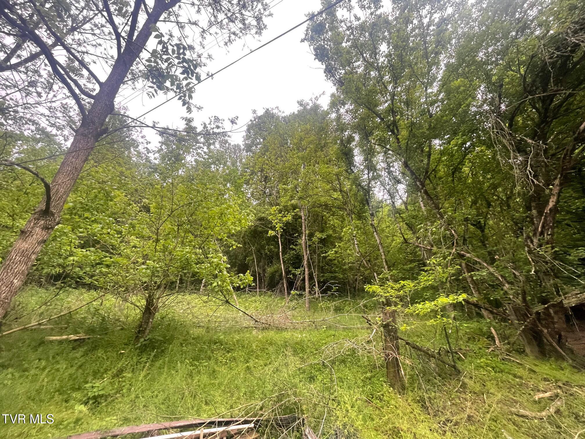 763 Sloantown Road Duffield, VA 24244 - Photo 19 of 22 Sloan 28