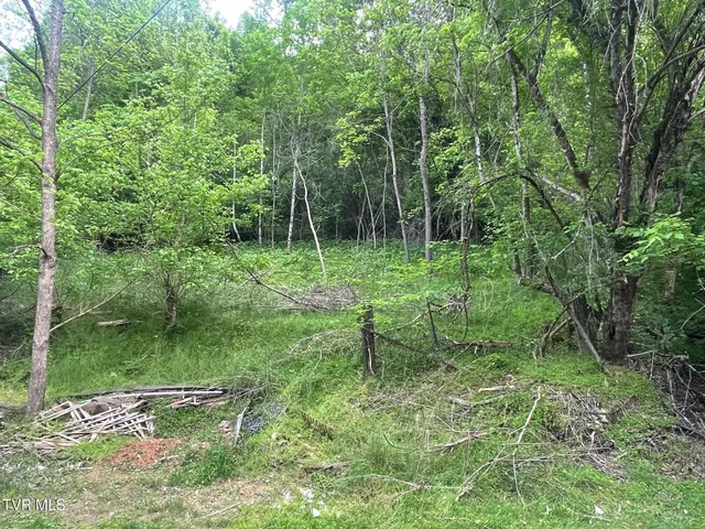 $119,000 | 763 Sloantown Road, Duffield, VA 24244