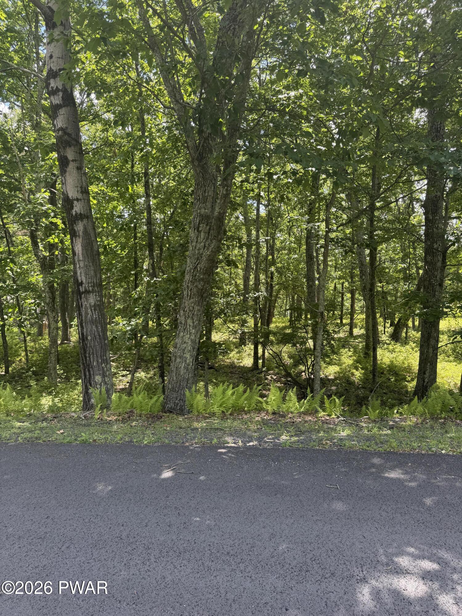 2119 Mallard Court Bushkill, PA 18324 - Photo 2 of 5