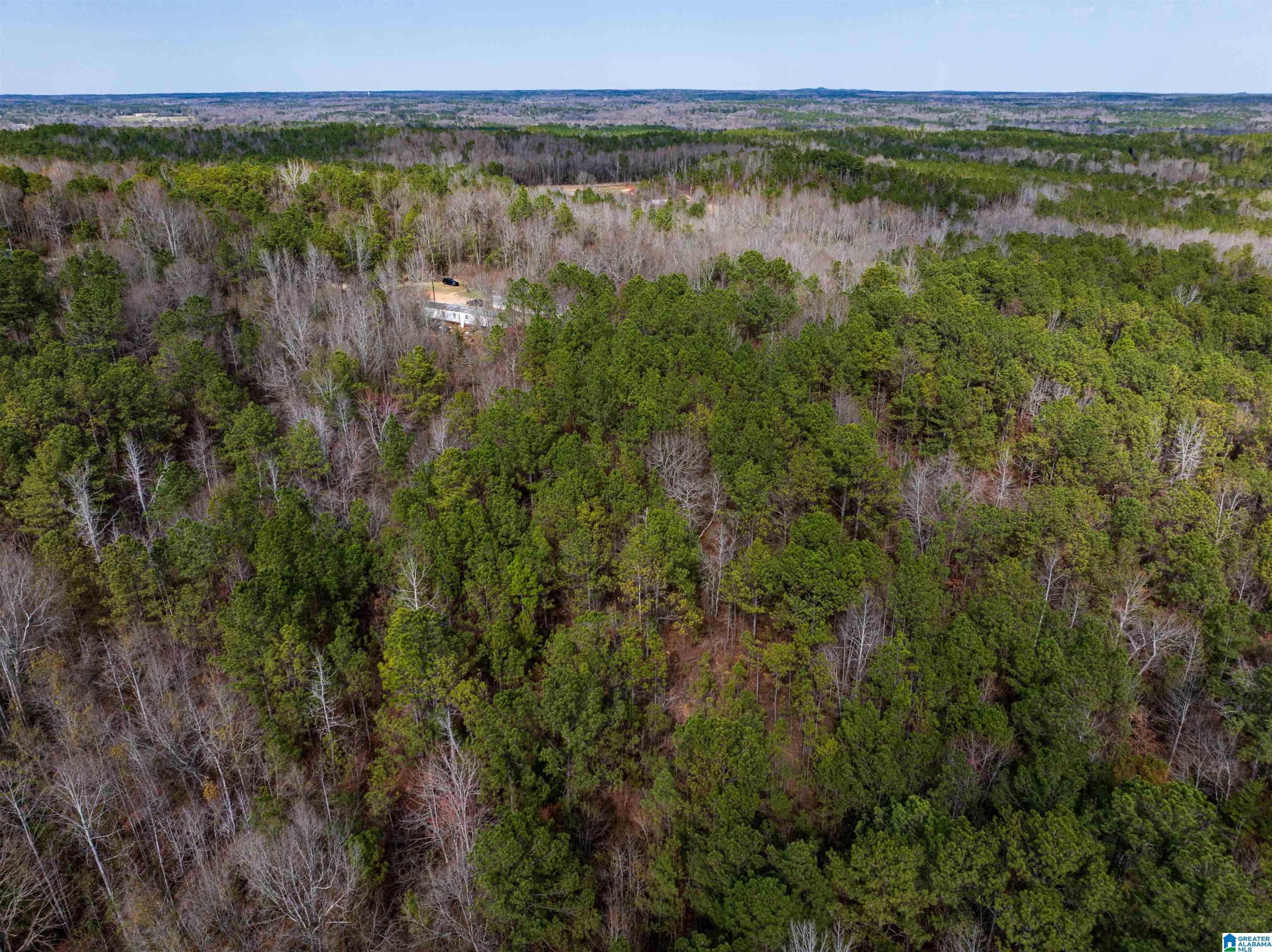 0 Flat Rock Road Tallassee, AL 36078 - Photo 7 of 13