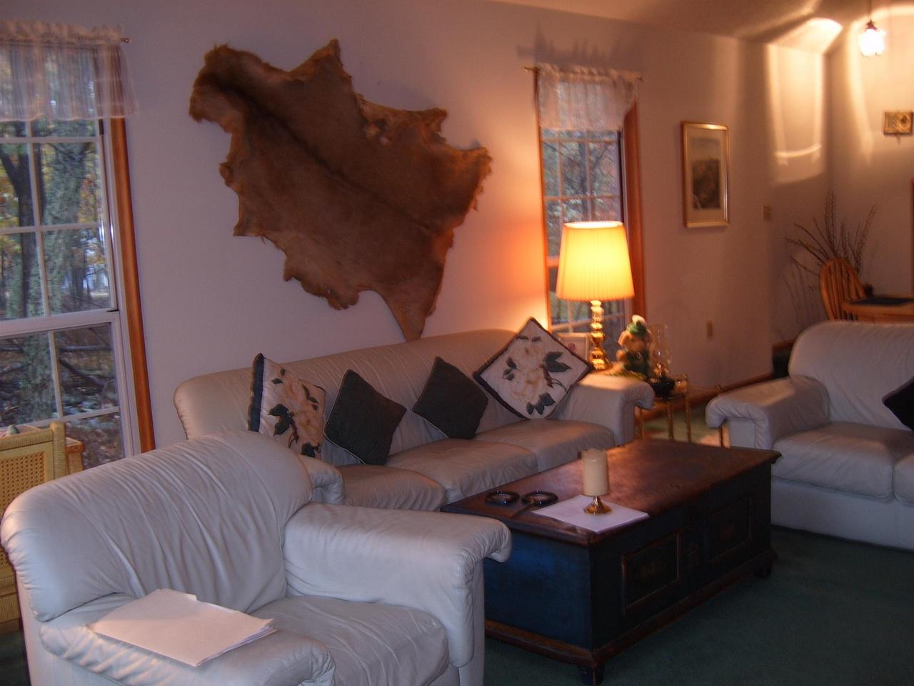 293 Mockingbird Court Bushkill, PA 18324 - Photo 7 of 18 Living Room - Alternate view #3