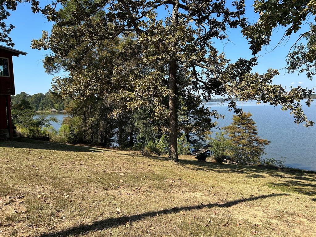 401 Ridge Row Many, LA 71449 - Photo 11 of 18 a view of a yard with a tree