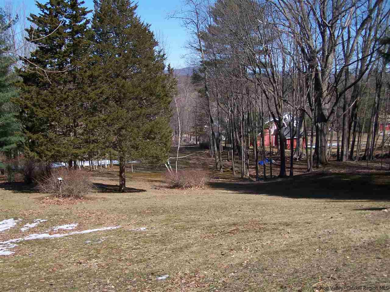 755 Vly Road Olivebridge, NY 12461 - Photo 4 of 33 a view of outdoor space with trees