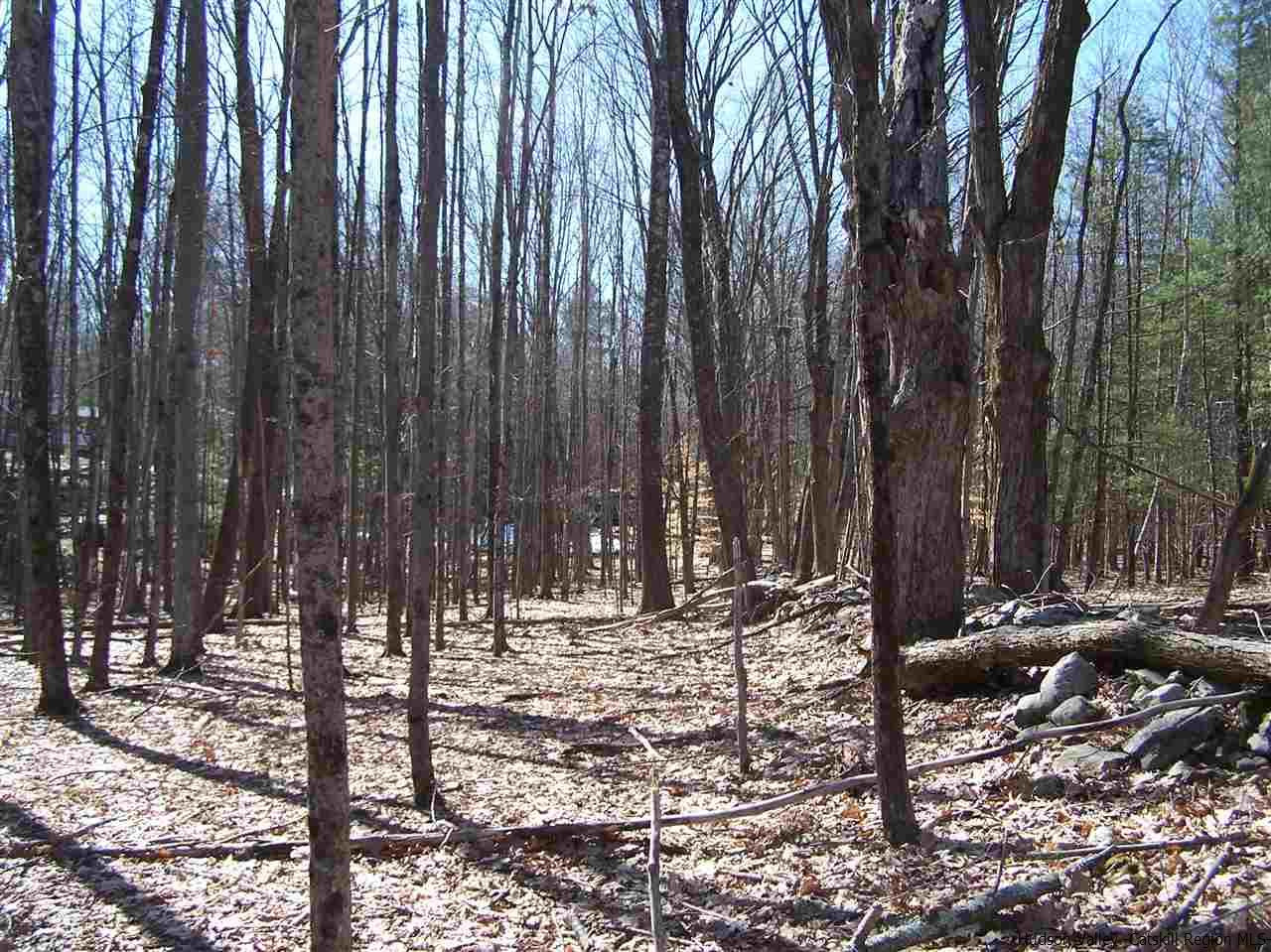 755 Vly Road Olivebridge, NY 12461 - Photo 10 of 33 a view of outdoor space with sitting area