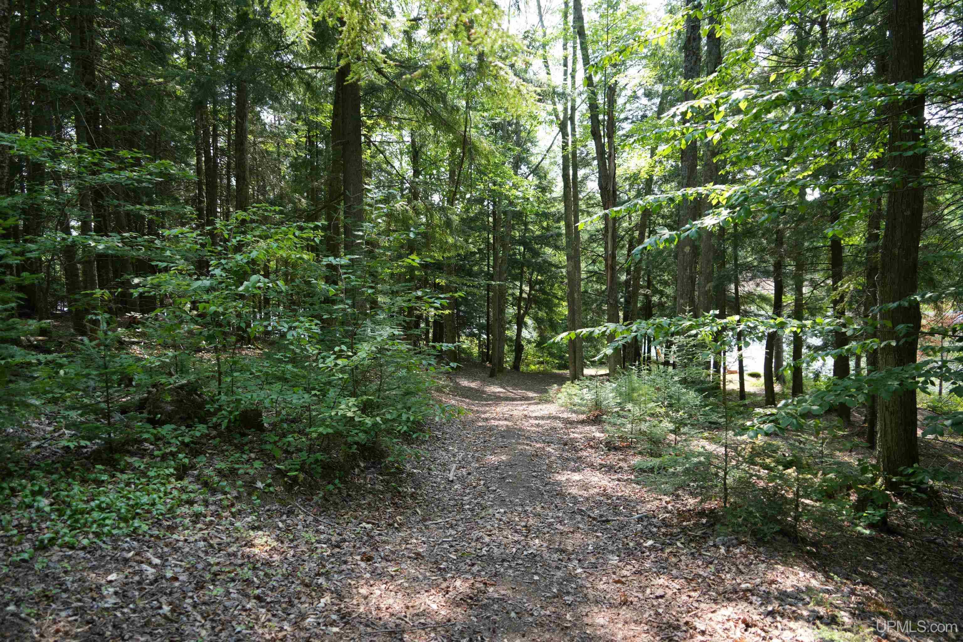 3974 North Hayward (access To Angel Island) Road Munising, MI 49862 - Photo 85 of 92