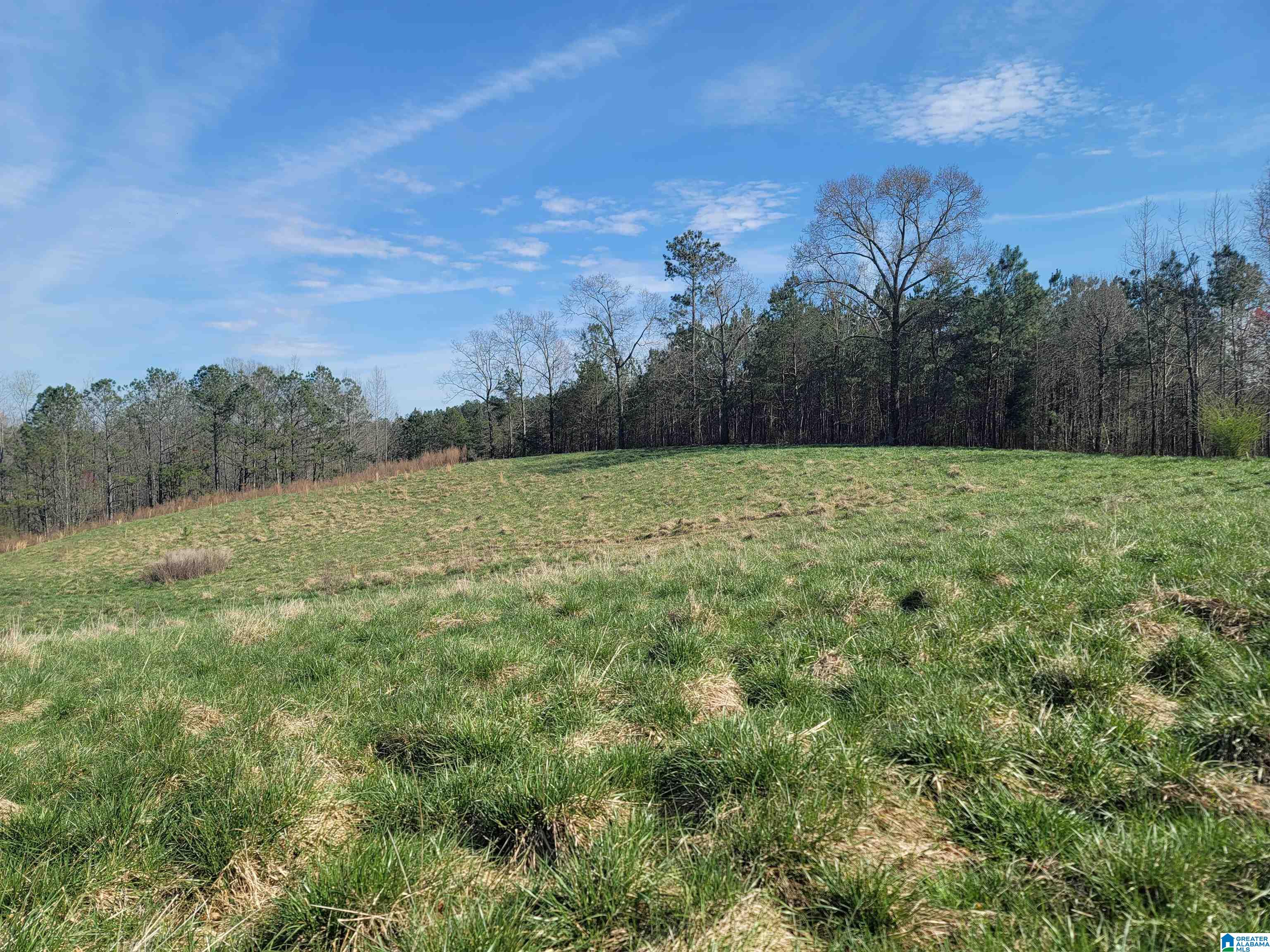 208 County Road, Unit 23 Muscadine, AL 36269 - Photo 7 of 11