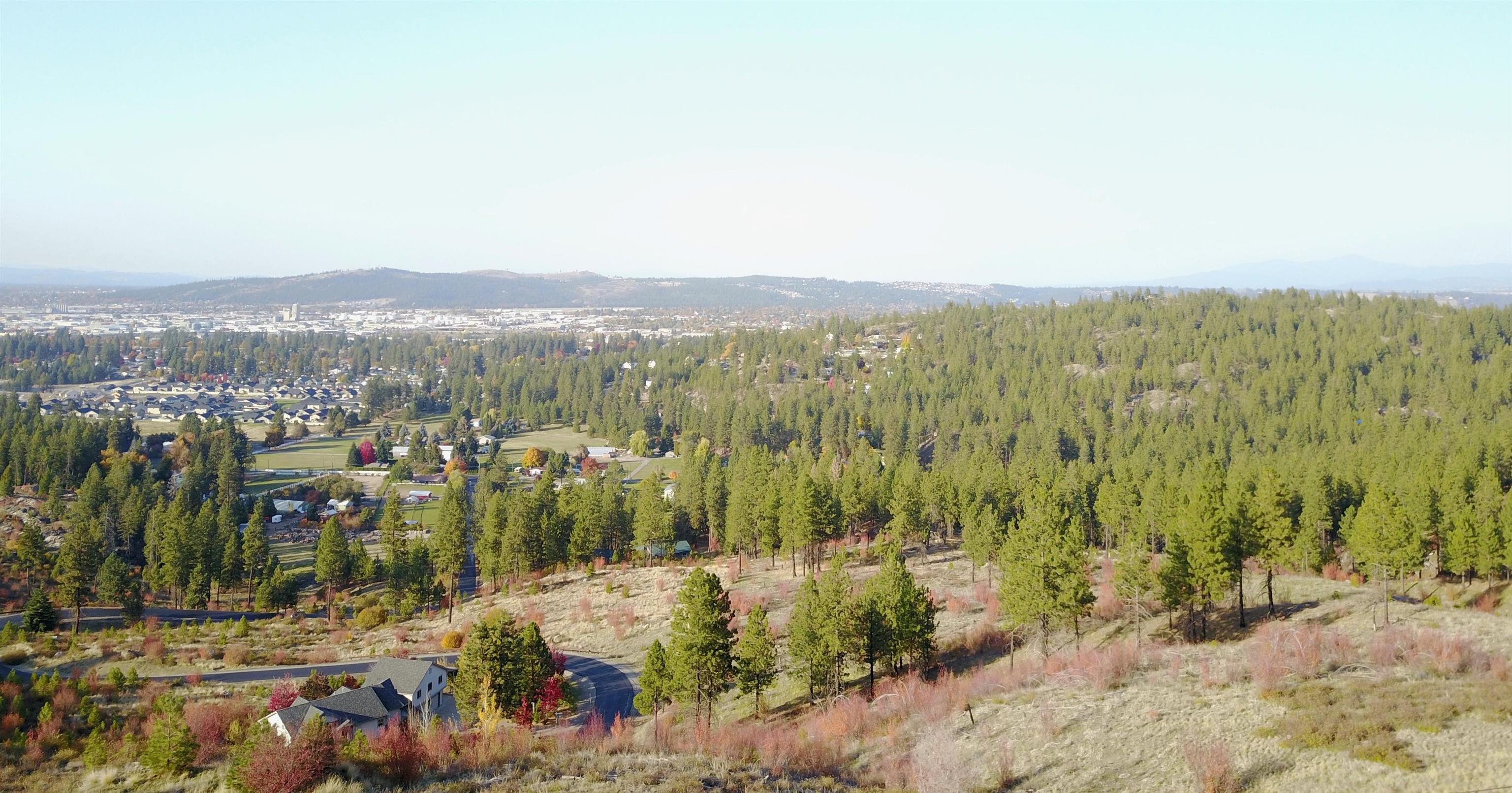 2809 South Park Road Spokane, WA 99212 - Photo 6 of 35