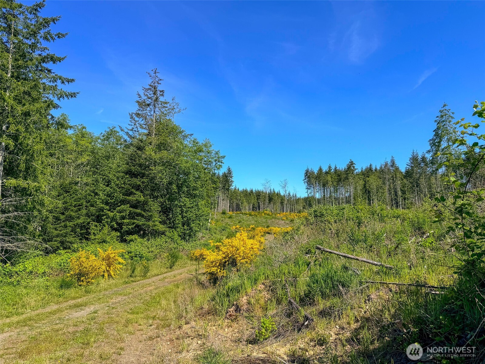 1-xxx Andy Cooper Road Port Ludlow, WA 98365 - Photo 19 of 29