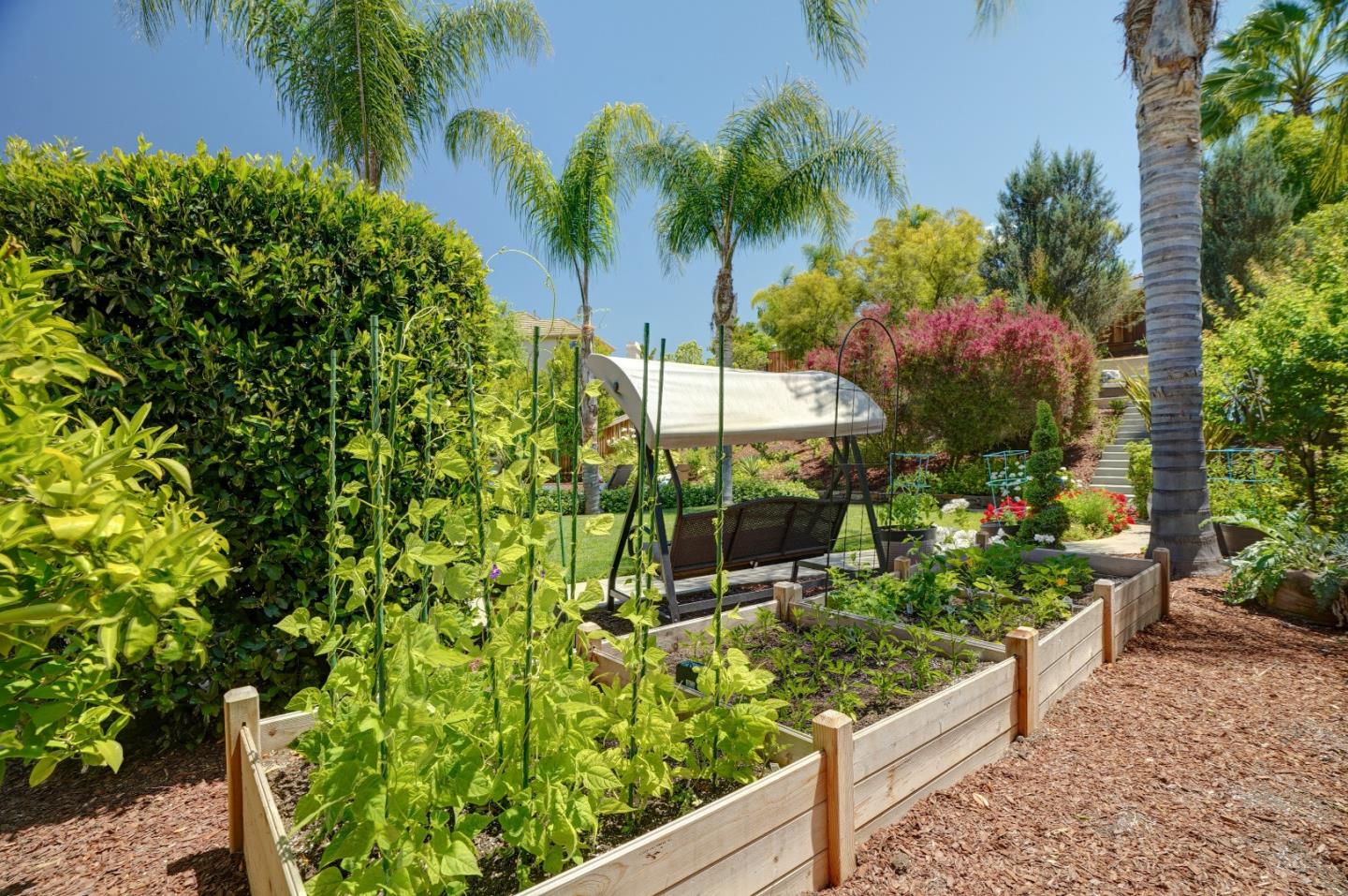 2860 Club Drive Gilroy, CA 95020 - Photo 77 of 87 a view of a garden with flowers