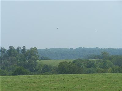 1275 Handys Bend Road Wilmore, KY 40390 - Photo 20 of 25 Photo 20