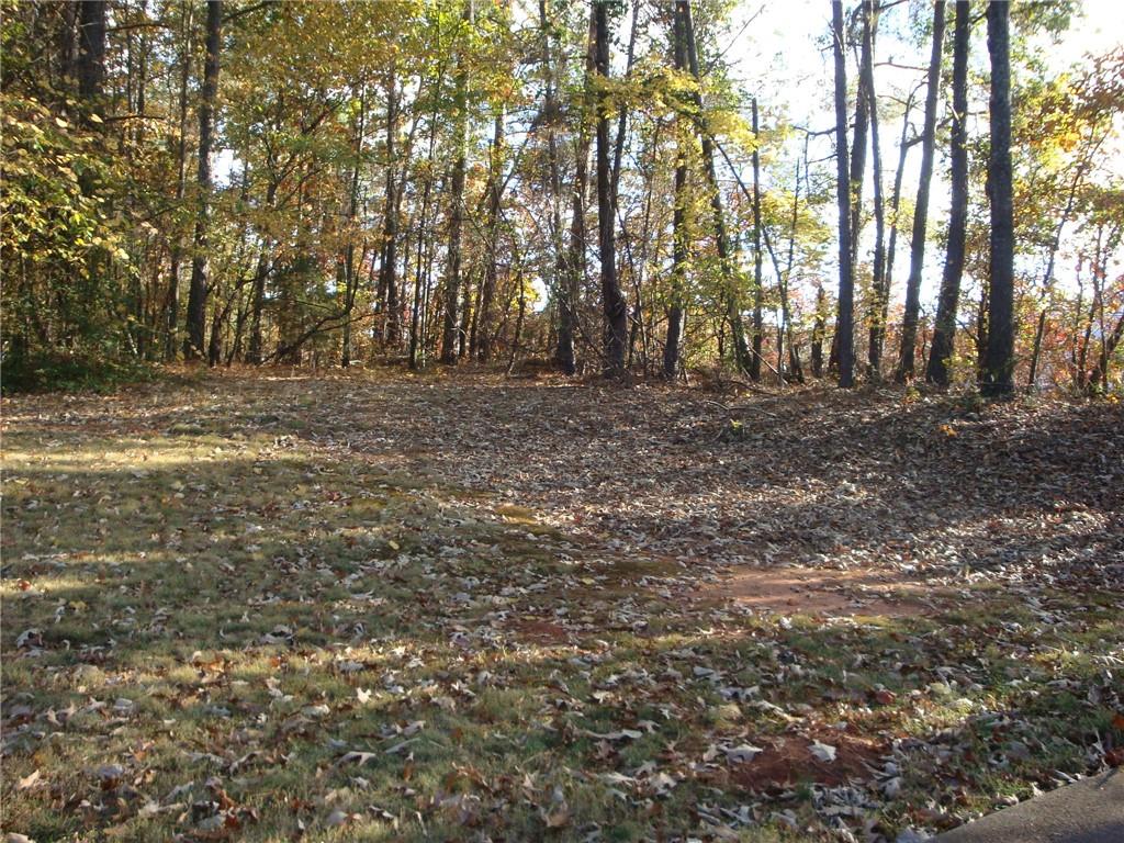 568 Russell Road Lawrenceville, GA 30043 - Photo 14 of 20 a view of outdoor space with trees