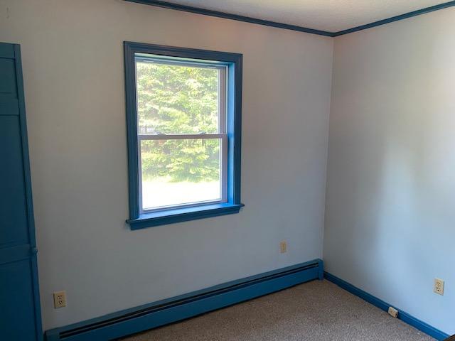 777 Moosehead Lake Road Greenville, ME 04441 - Photo 15 of 25 IMG_2748