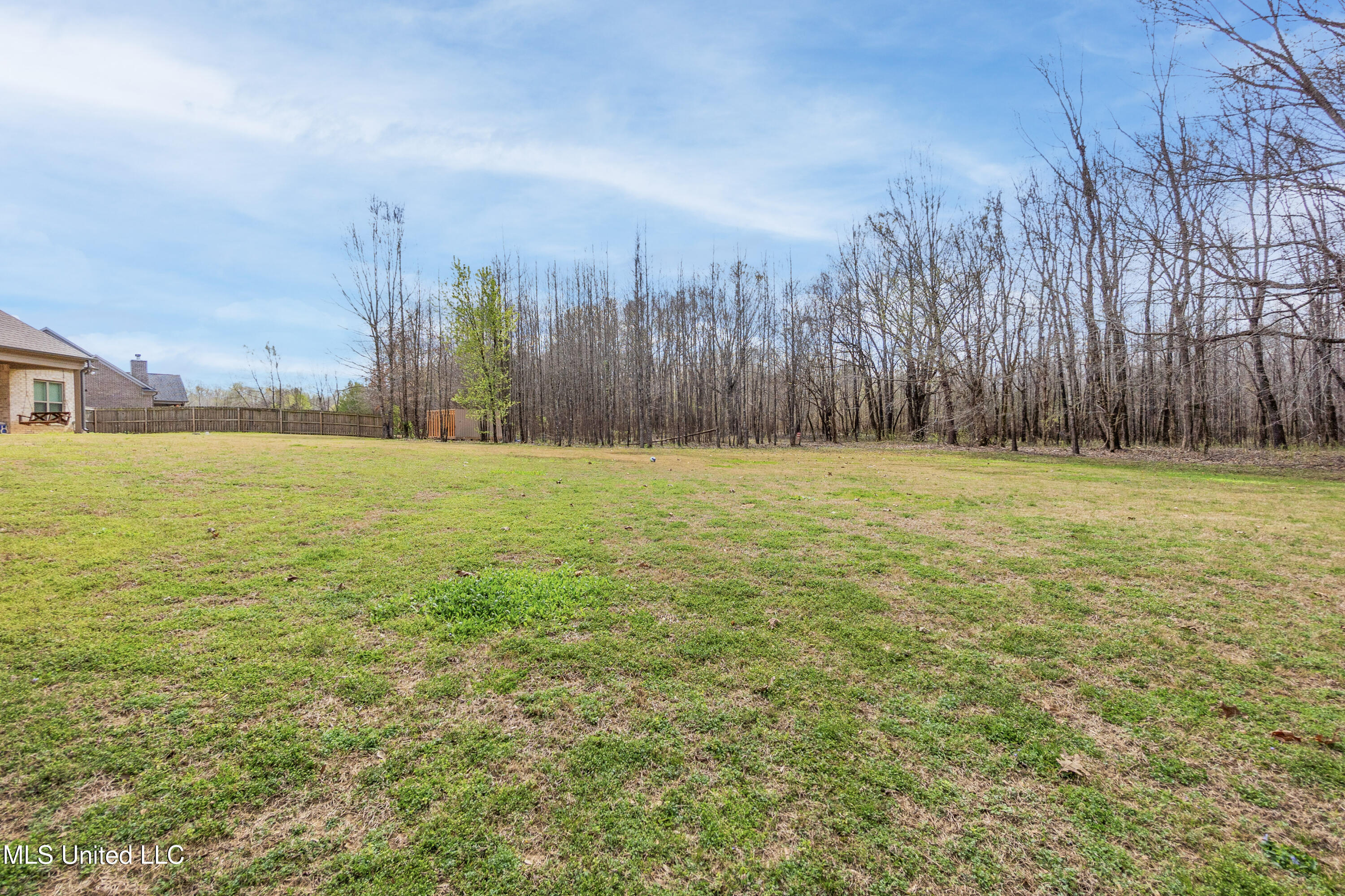 9108 Honey Suckle Way Hernando, MS 38632 - Photo 38 of 39 DSC05010-Edit