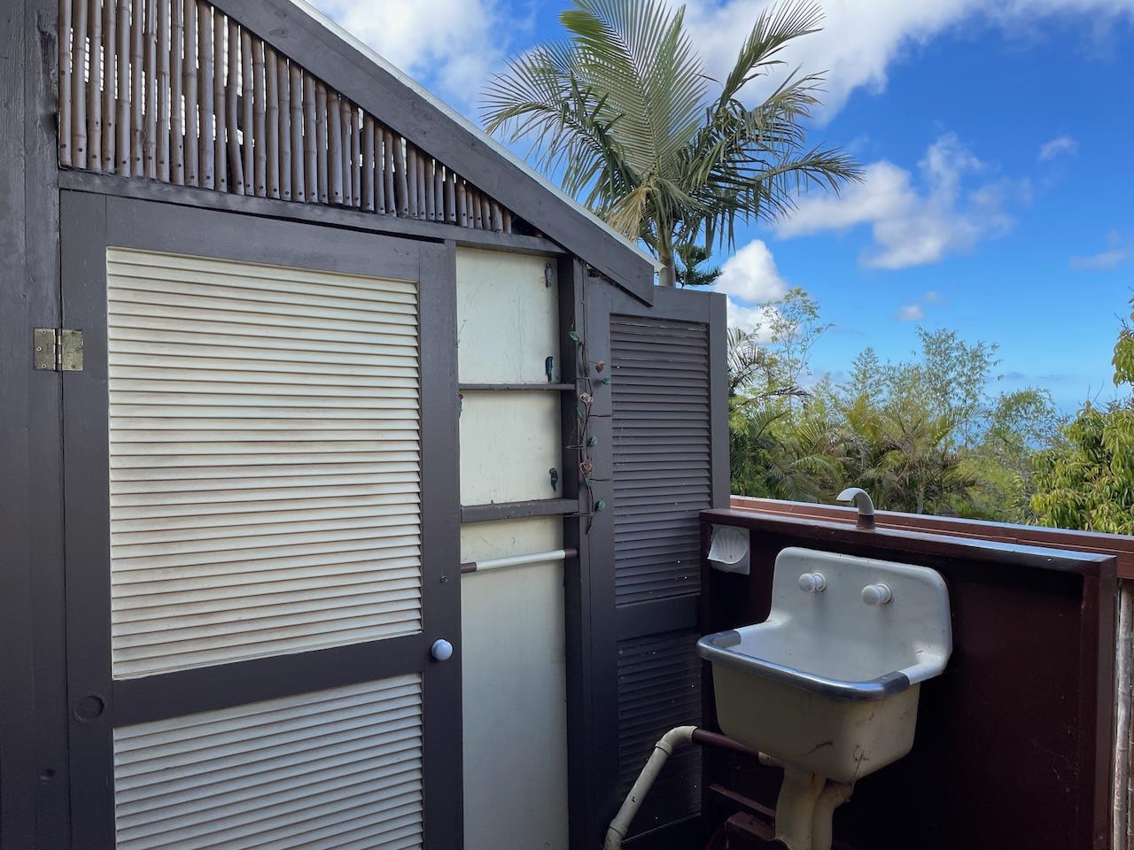 77 Kahoea Place Kula, HI 96790 - Photo 30 of 44 a view of balcony with a potted plant