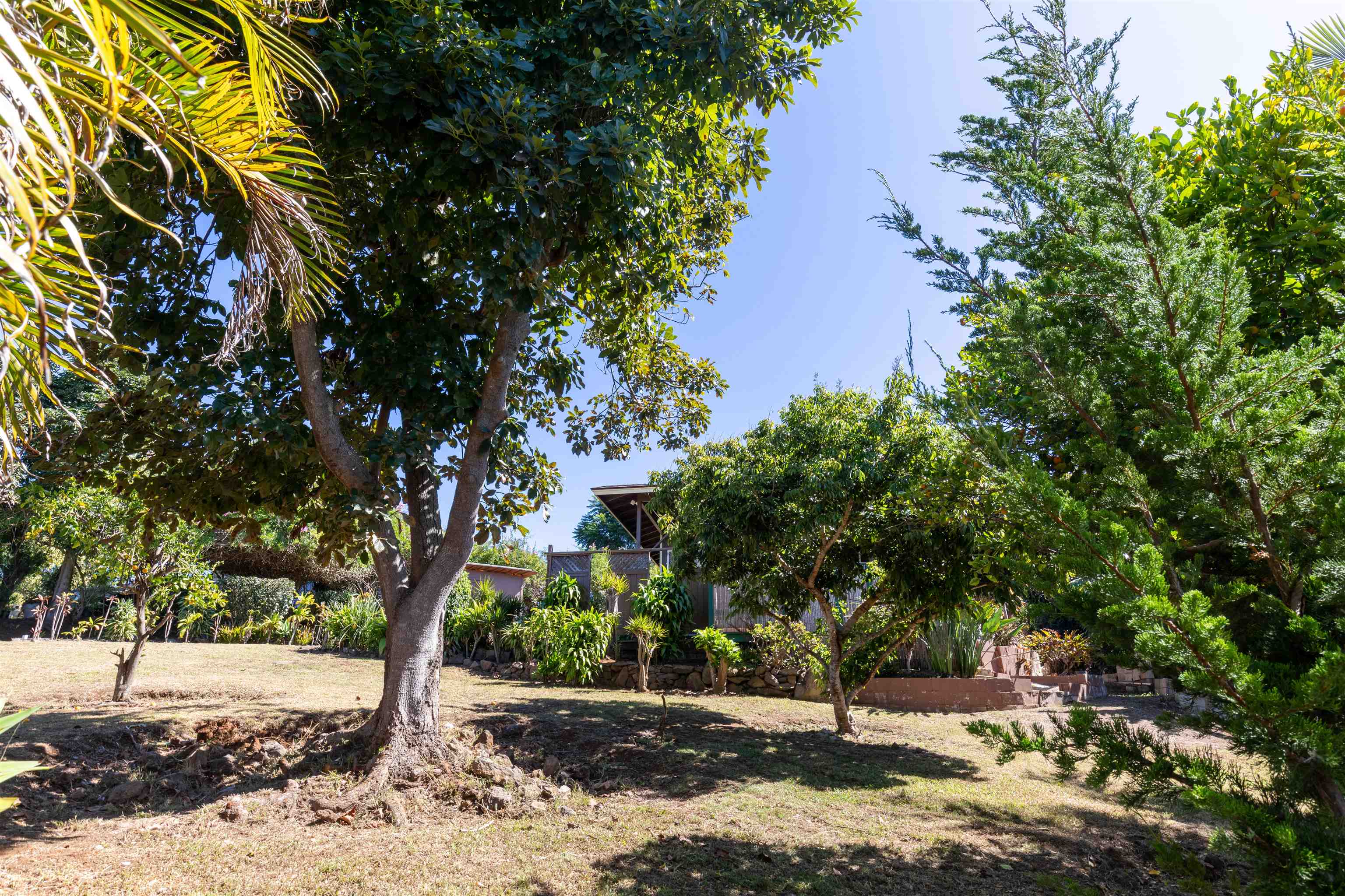 77 Kahoea Place Kula, HI 96790 - Photo 32 of 44 a view of a street with a tree