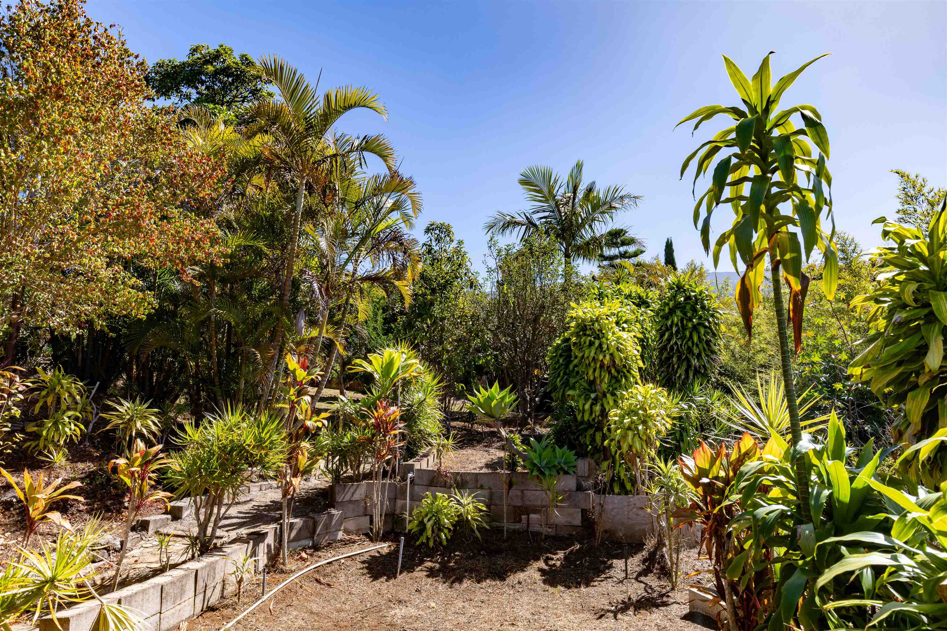 77 Kahoea Place Kula, HI 96790 - Photo 33 of 44