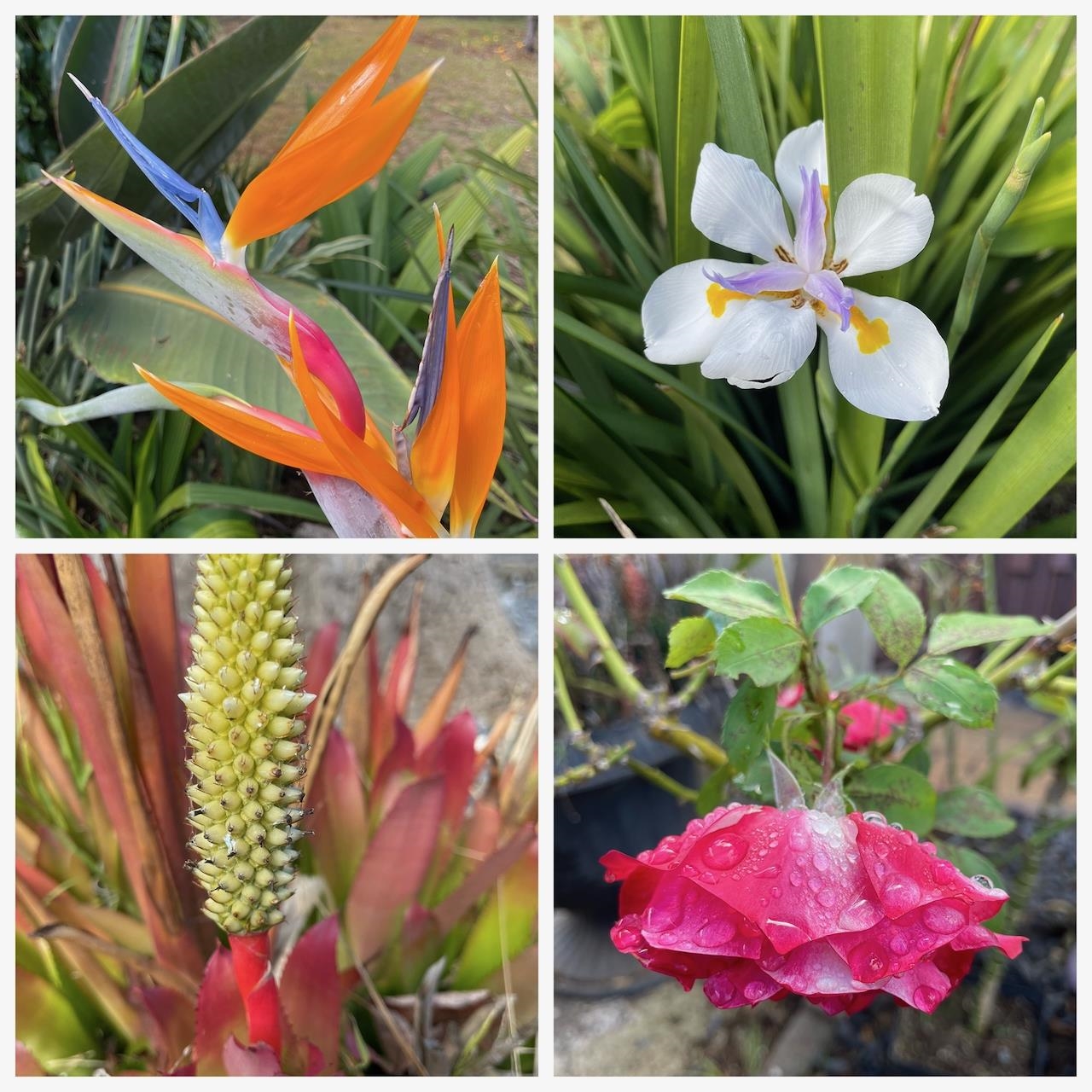 77 Kahoea Place Kula, HI 96790 - Photo 35 of 44 a view of electric room