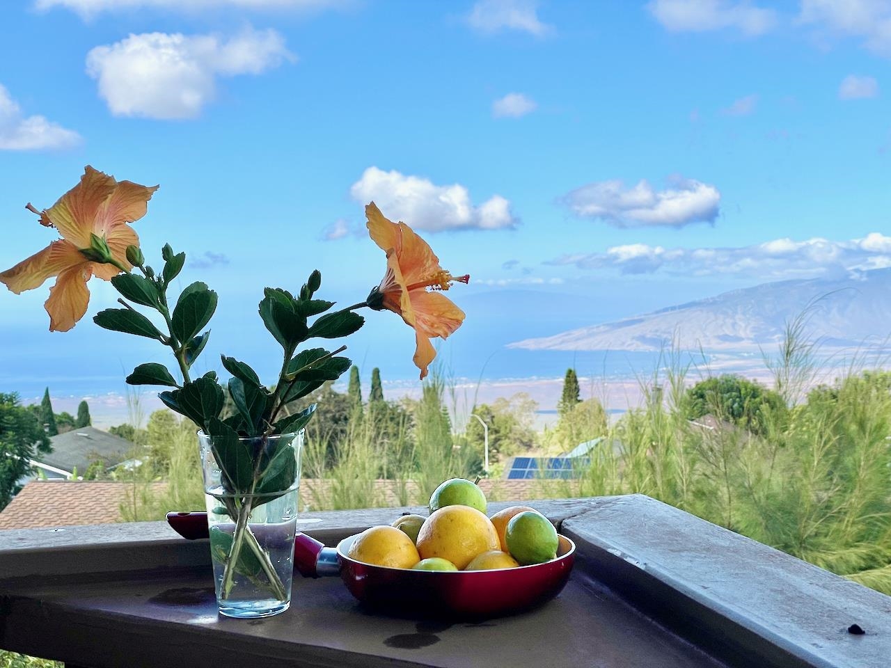 77 Kahoea Place Kula, HI 96790 - Photo 42 of 44 a vase of flowers sitting on a table with chairs