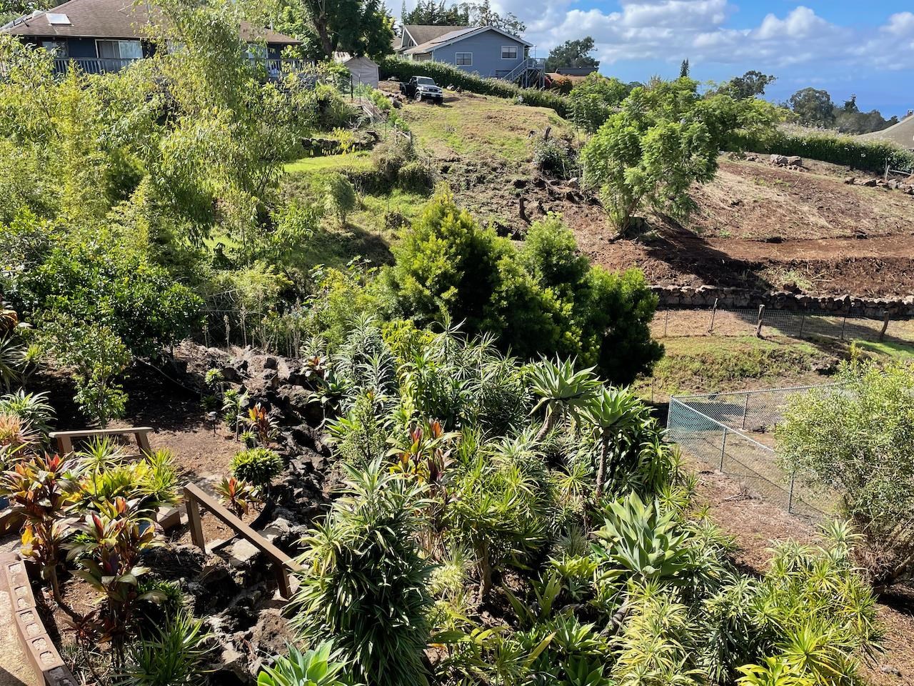 77 Kahoea Place Kula, HI 96790 - Photo 43 of 44 a view of a bunch of flowers and trees